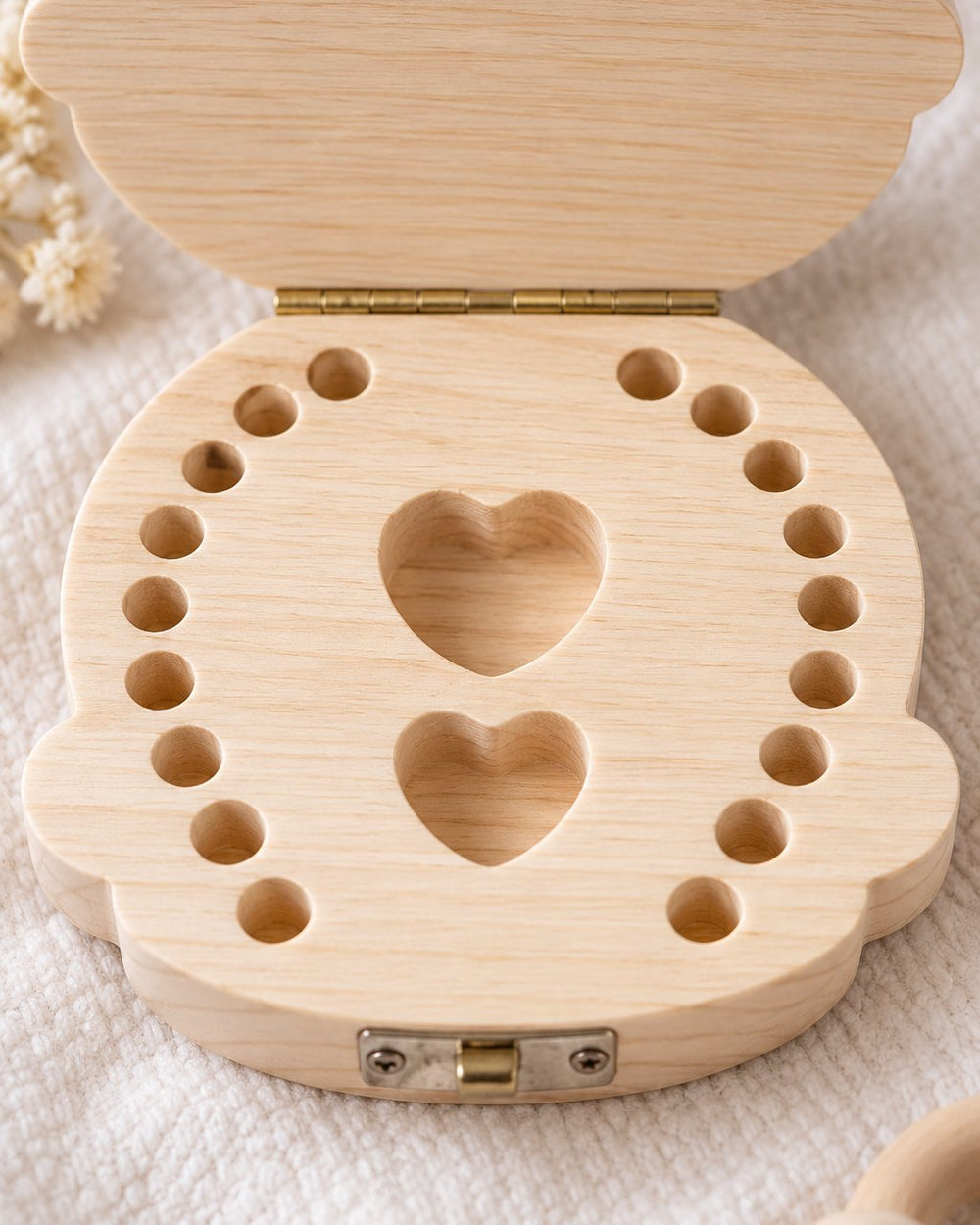 Open tooth box showing the rows of small numbered tooth slots