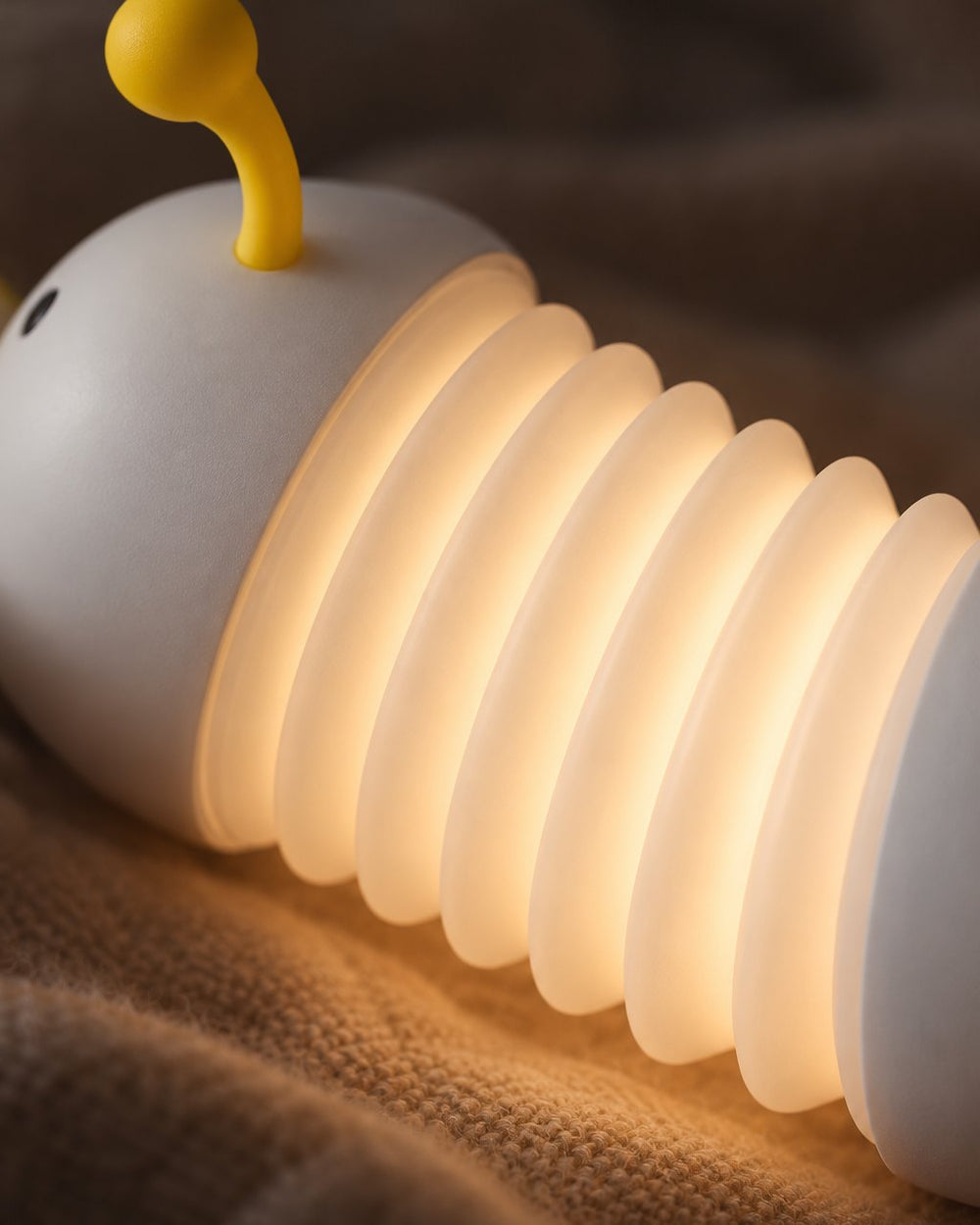 Close-up of warm light glowing through the caterpillar's pleated folds