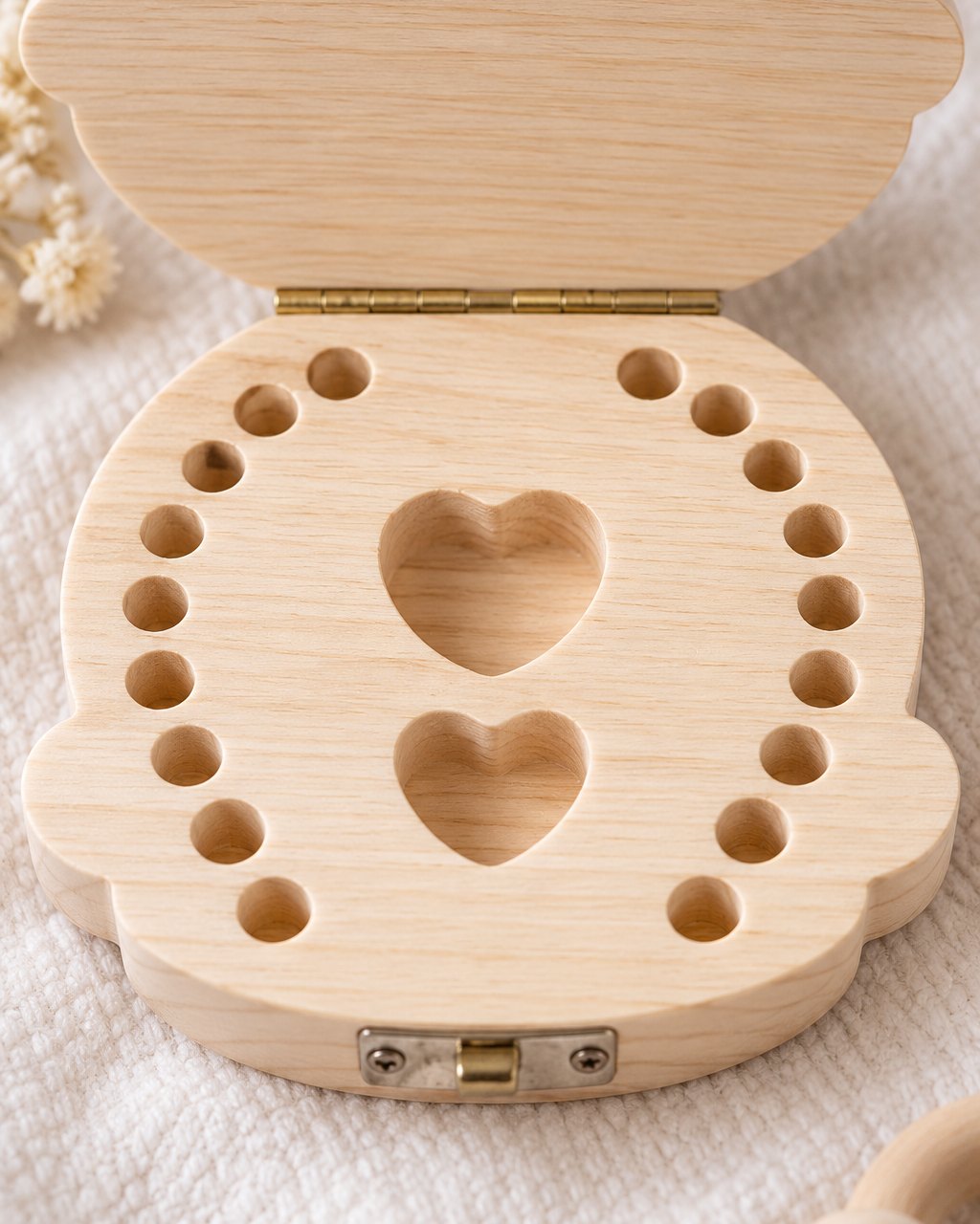 Open tooth box showing the rows of small numbered tooth slots