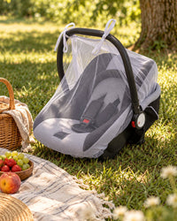 Netted infant carrier in the shade beside a picnic blanket in a park