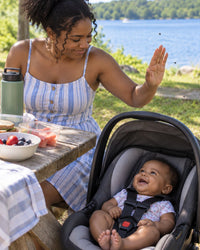 Parent waving flies away from a baby in a car seat at an outdoor picnic