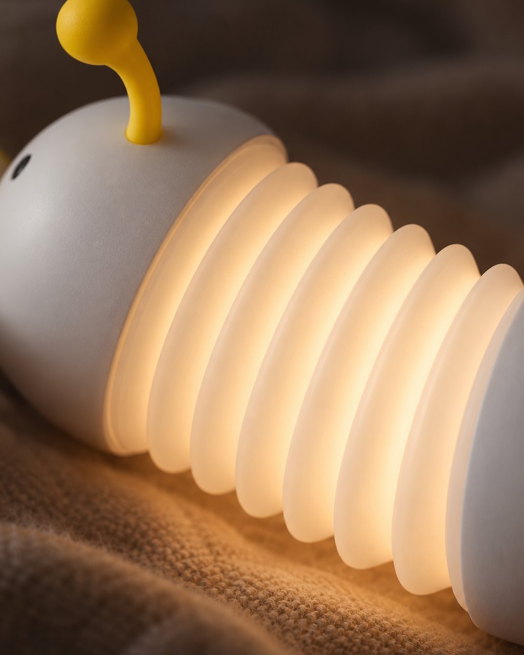 Close-up of warm light glowing through the caterpillar's pleated folds